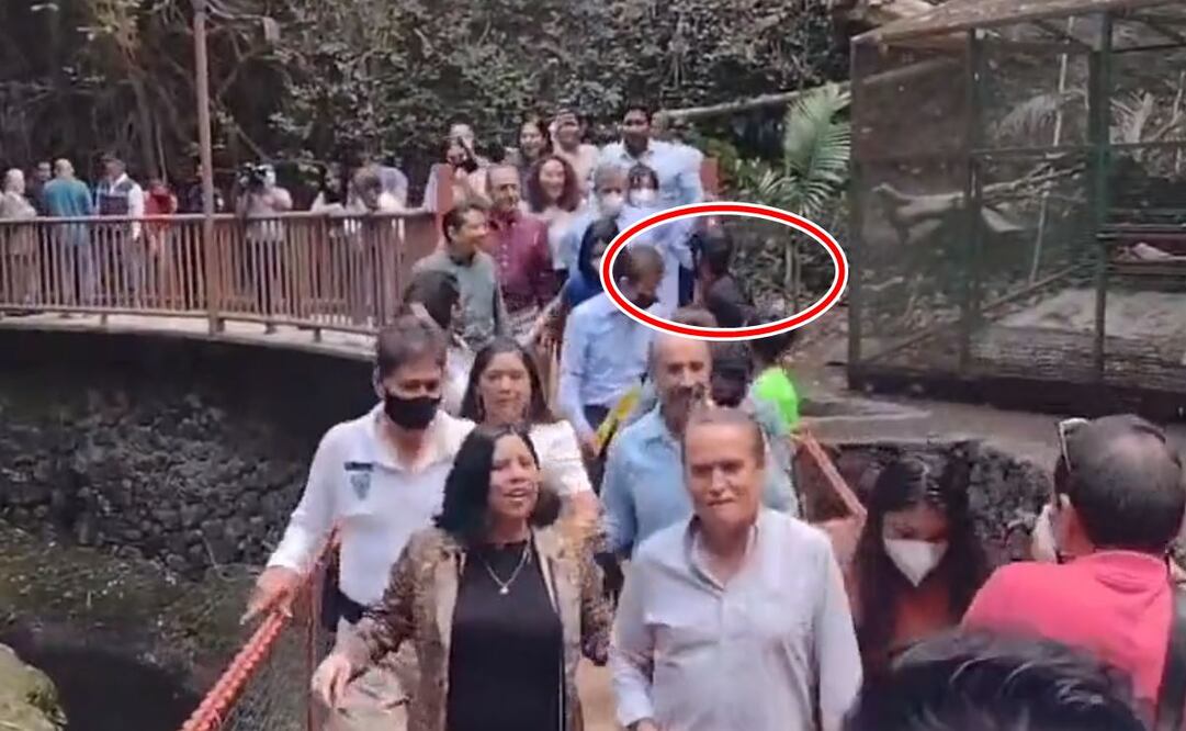 Hombre lamenta que lo culpen del colapso del puente colgante en Cuernavaca. Foto: Captura de video