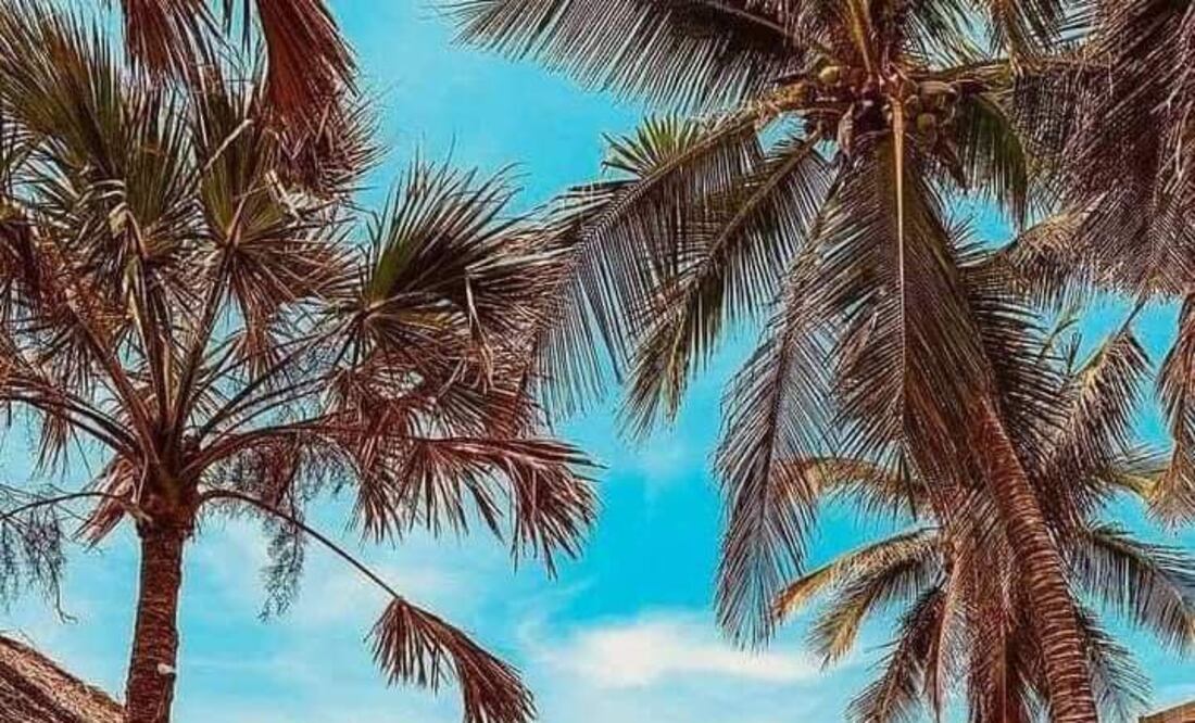 Playa Mazunte se ubica en Oaxaca y es una de las más económicas | Foto: Facebook Mazunte Mágico