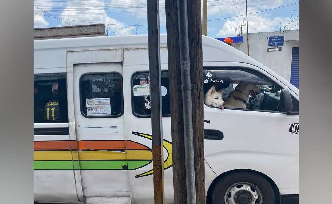 Foto: Twitter @castilloloyo