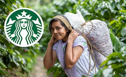 Mujeres de Puebla cultivan café para ser libres y son proveedoras de Starbucks