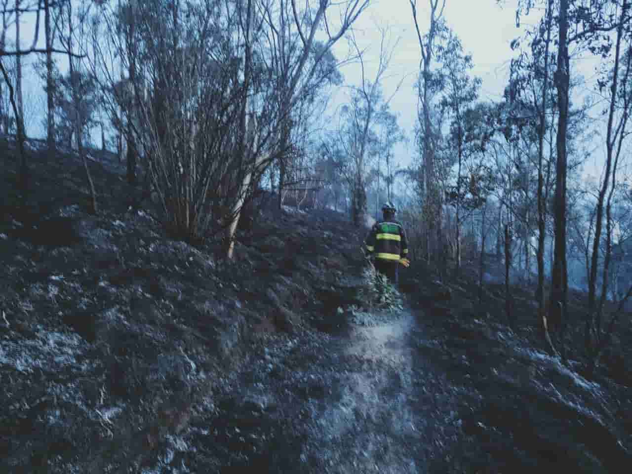 Hasta 10 años de prisión a quienes provoquen incendios y cometan ecocidio en Puebla