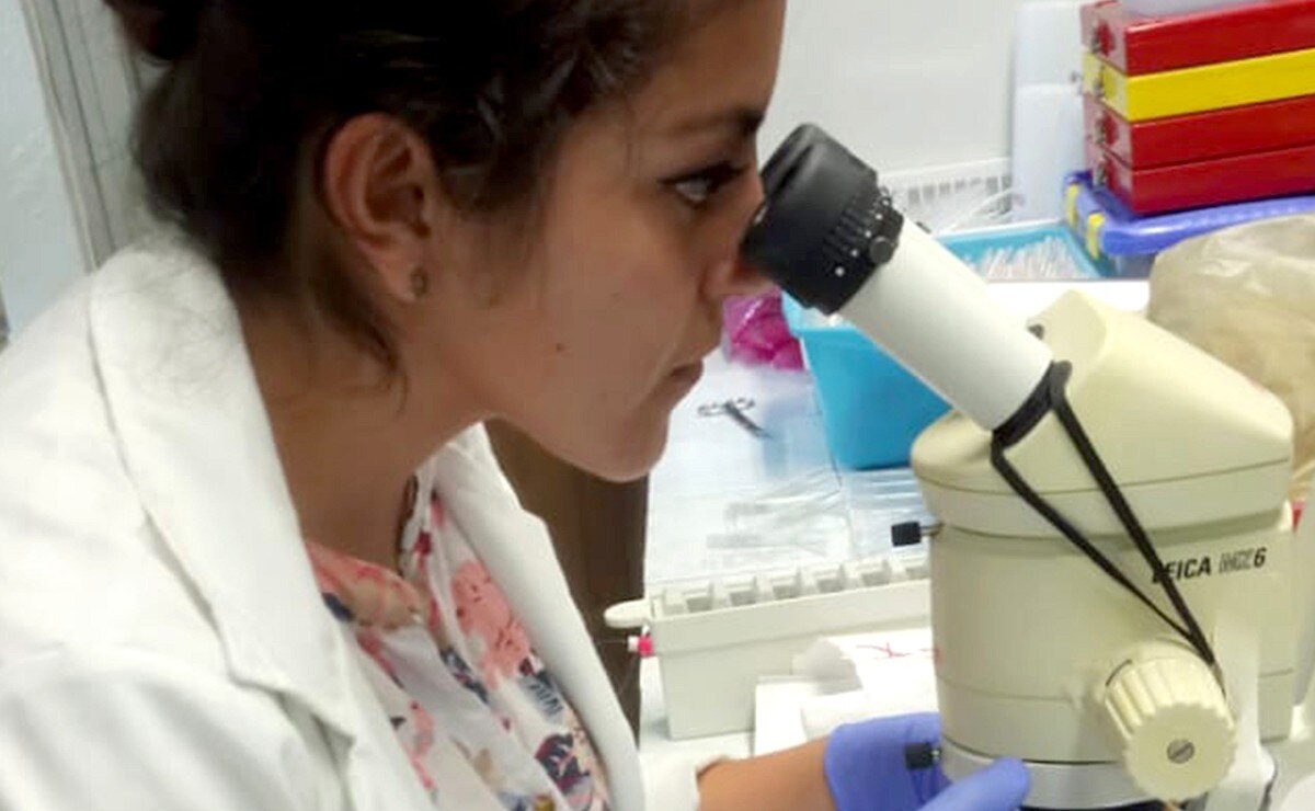 Día Internacional de la Mujer y la Niña en la ciencia 2022: checa las pláticas del Inaoe