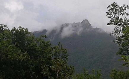 La mafia de talamontes se apodera de Zacatlán