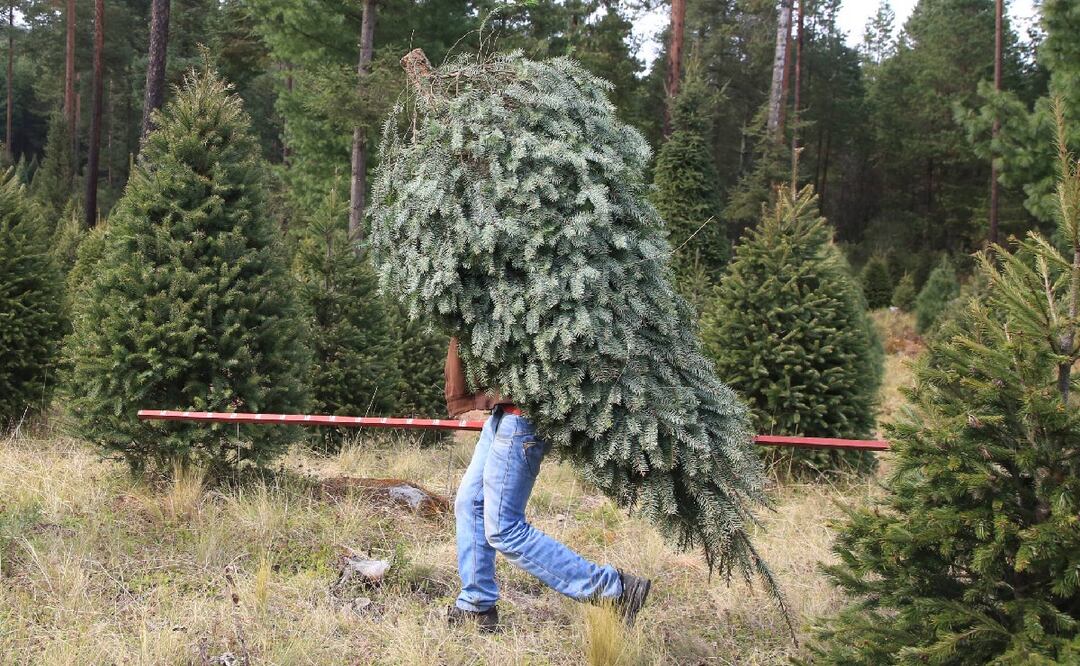 FOTO: Agencia Es Imagen para El Universal Puebla