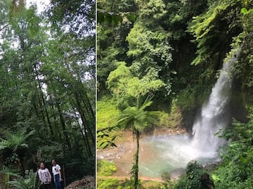 El árbol más alto del país está en el Pueblo Mágico de Teziutlán