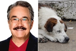 Cancelan a Pedro Sola en redes por comentarios sobre envenenar perros y disparar a sus dueños