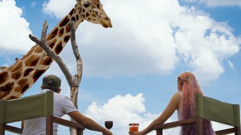 Cuánto cuestan las experiencias exclusivas de Áfricam Safari 2022