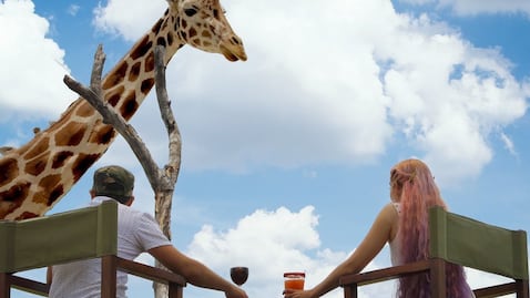 Cuánto cuestan las experiencias exclusivas de Áfricam Safari 2022