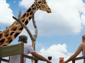 Cuánto cuestan las experiencias exclusivas de Áfricam Safari 2022