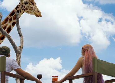 Cuánto cuestan las experiencias exclusivas de Áfricam Safari 2022