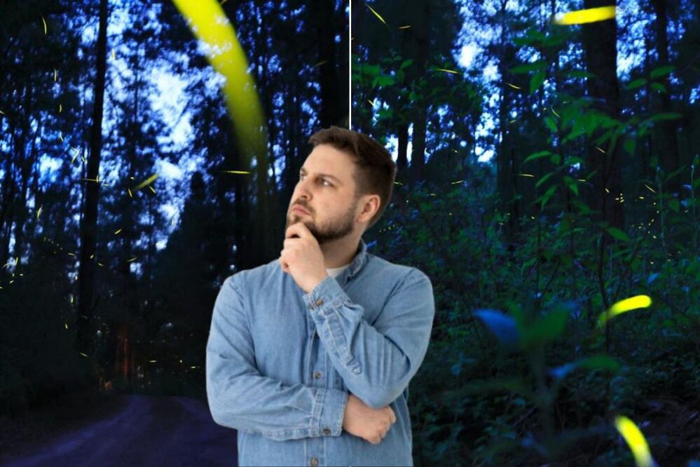 Las luciérnagas están en peligro, pero aún se pueden ver en Puebla | Foto: EsImagen / Freepik