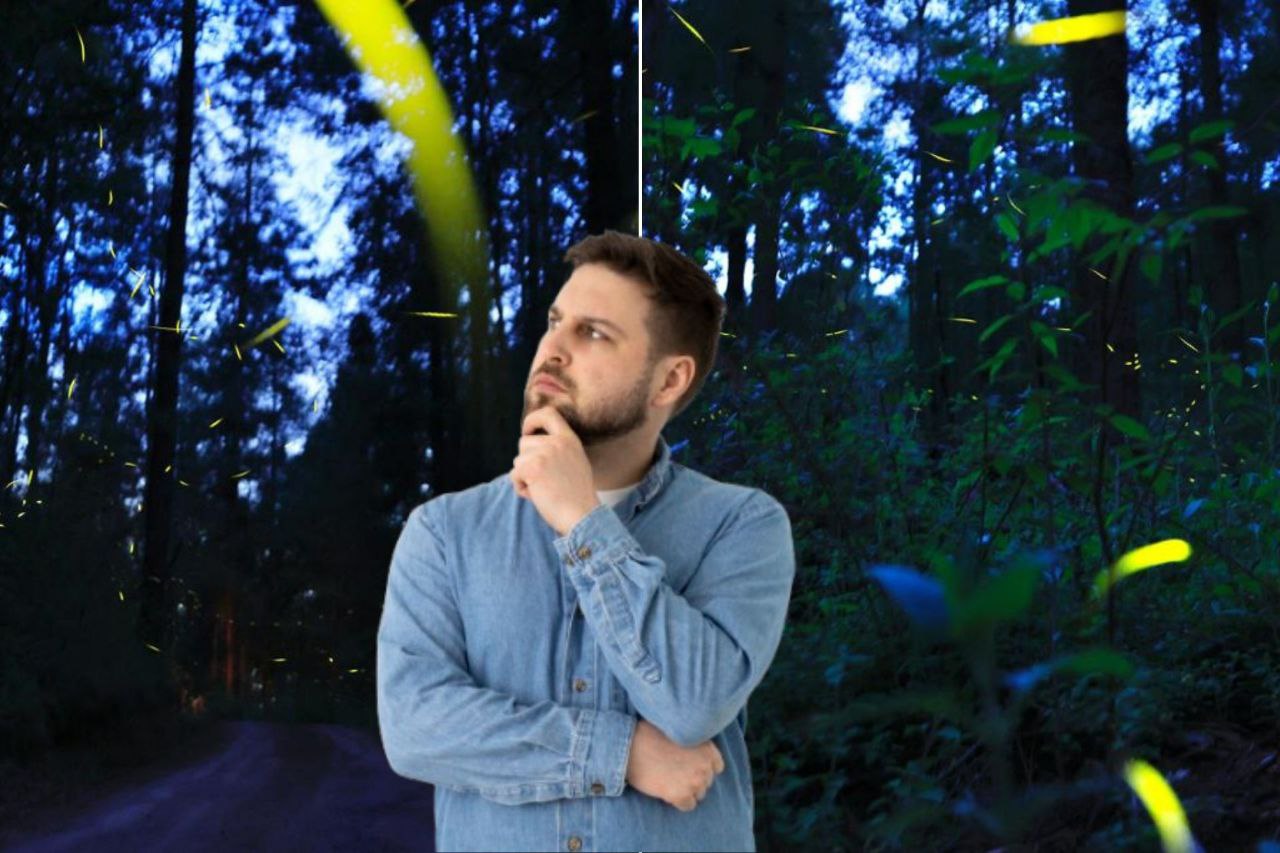 Las luciérnagas están en peligro, pero aún se pueden ver en Puebla | Foto: EsImagen / Freepik