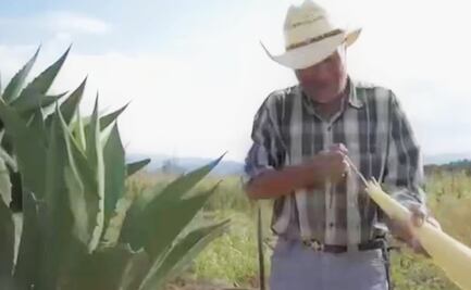 Conoce el pulque de Tentzoncuahuigtic, Puebla