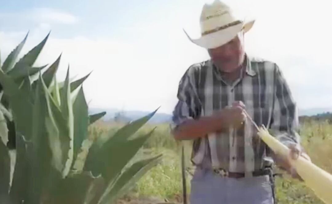 La Feria del Pulque de Tentzoncuahuigtic se llevará a cabo los días 31 de diciembre de 2022 y el 1 de enero de 2023 | Imagen captura de pantalla