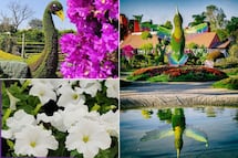 Visita el jardín escondido en un Pueblo Mágico de Puebla perfecto para tomar fotos