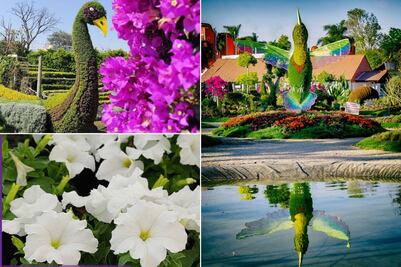 Visita el jardín escondido en un Pueblo Mágico de Puebla perfecto para tomar fotos