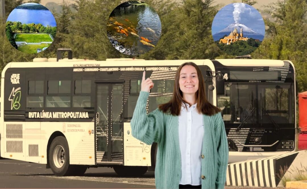Aprovecha que la línea 4 del metrobús es gratis para conocer sitios turísticos | Foto: Redes sociales