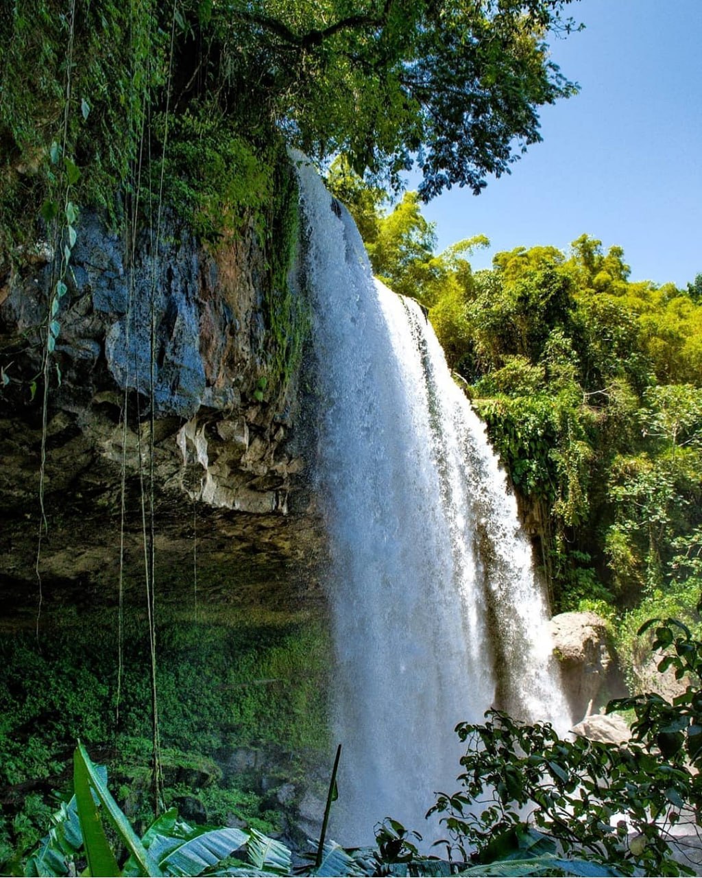 Cascada Plan de Guinea | Foto: @AlexCross2899