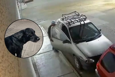 Roban auto en Tehuacán y se lleva hasta al perro