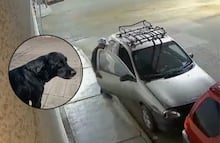 Roban auto en Tehuacán y se lleva hasta al perro