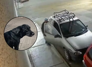 Roban auto en Tehuacán y se lleva hasta al perro
