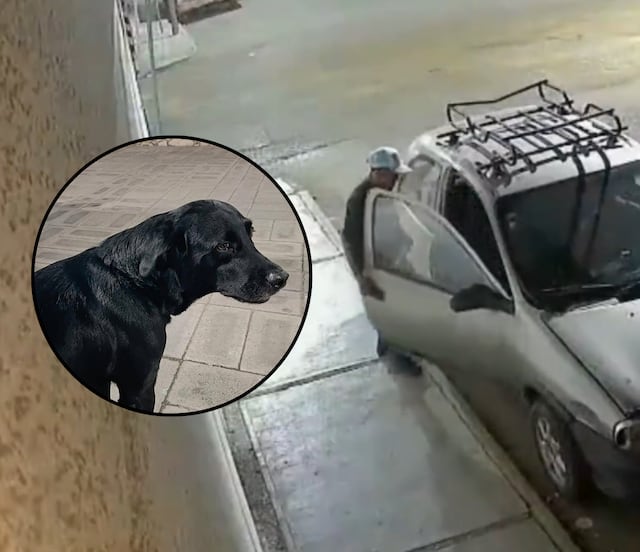 Roban auto en Tehuacán y se lleva hasta al perro