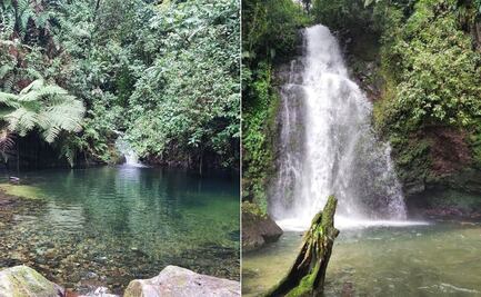 Descubre el Circuito de la Niebla de Teziutlán que solo se vive una vez al año