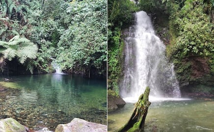 Descubre el Circuito de la Niebla de Teziutlán que solo se vive una vez al año