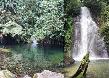 Descubre el Circuito de la Niebla de Teziutlán que solo se vive una vez al año