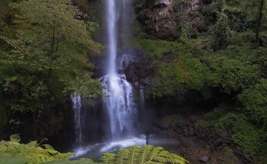 Foto: Tomada de video de Todo Por Descubrir