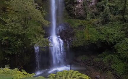 Honey, un paraíso entre cascadas en el estado de Puebla