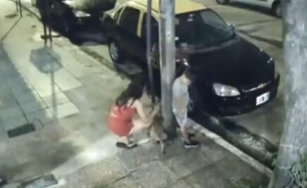 Mujer abandona a su perro en Navidad; video se vuelve viral