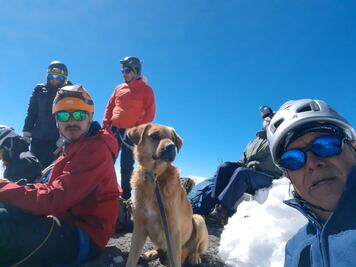 Alpinistas rescatan a Canelo, un perro perdido por varios días en el Pico de Orizaba
