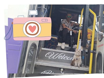 Esta es la historia de Zafiro, el michi microbusero más viral de todo Puebla