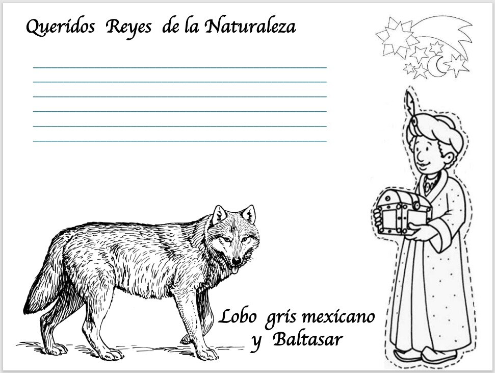 Tiene olfato y oído desarrollados, además de relacionarse con poderes místicos / Foto: CONANP
