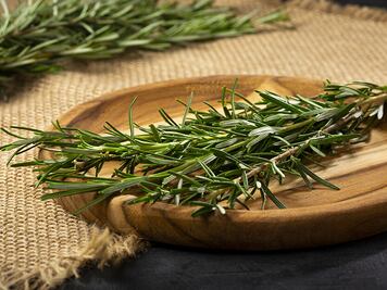 ¿Qué beneficios puedo tener al incorporar romero en mi dieta diaria?