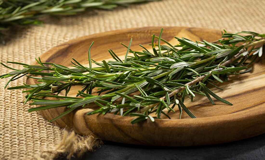 Históricamente, el romero se utilizaba como planta mágica para proteger contra la brujería, el mal de ojo y la envidia, así como para purificar el ambiente de enfermedades como la peste negra.
Foto: Producción El Universal Puebla