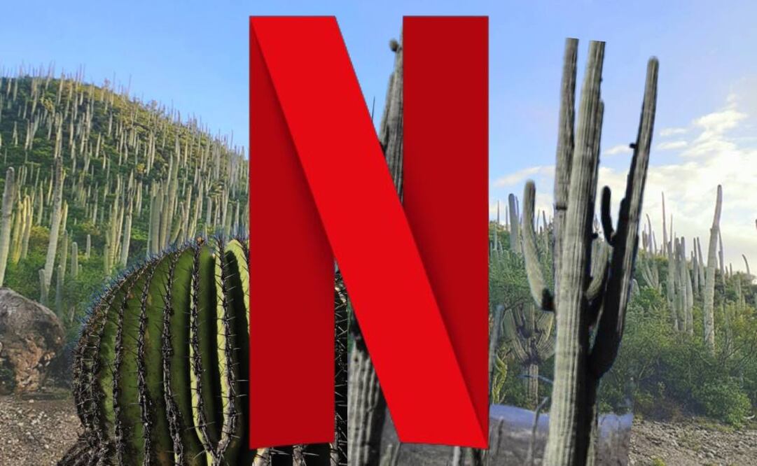 En Netflix hay varias películas y series grabadas en Puebla | Foto: Netflix / Jardín Botánico