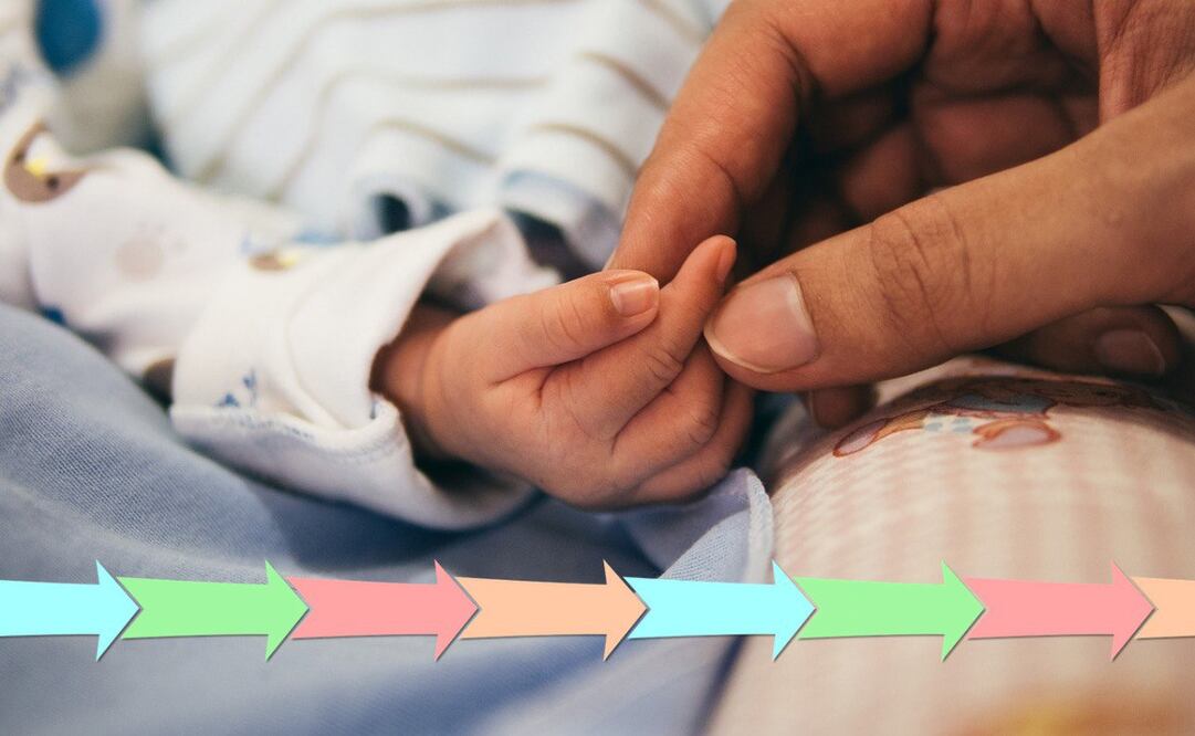 Es importante conocer cómo han surgido las generaciones y sus características / Foto: Pixabay