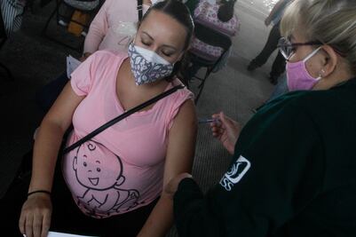 Plataforma registra a mujeres para vacunación contra Covid-19 aunque no estén embarazadas