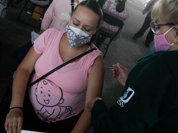 Plataforma registra a mujeres para vacunación contra Covid-19 aunque no estén embarazadas