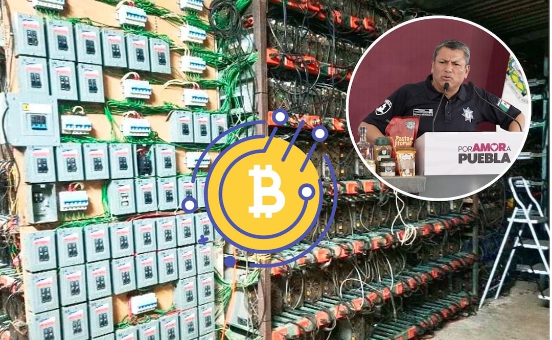 Hallan minería de criptomonedas en Tlaola | Foto: Especial