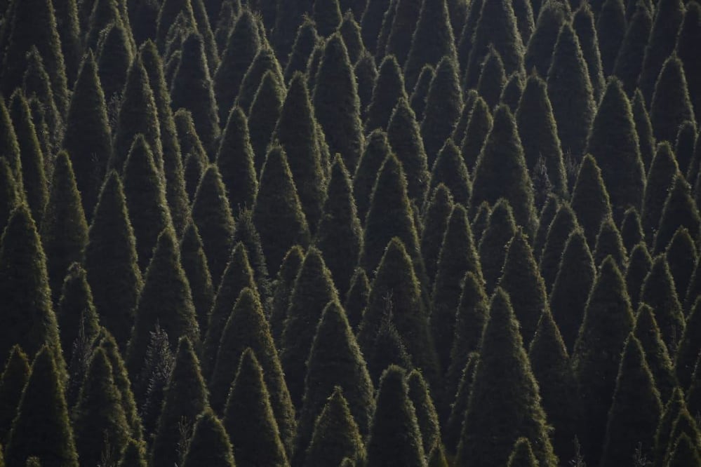 FOTO: Agencia Es Imagen para El Universal Puebla