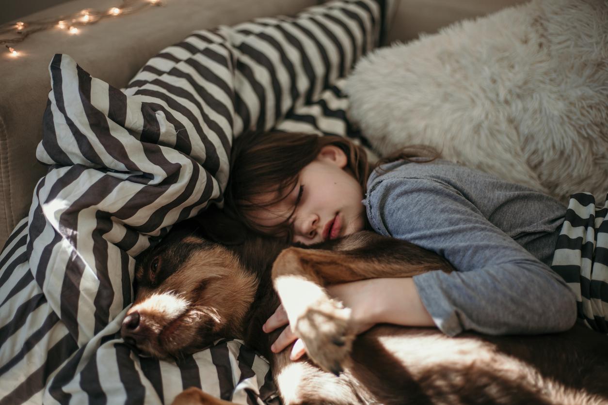 La higiene es importante para que esta convivencia con tu mascota sea lo más segura posible. 

Foto: Producción El universal