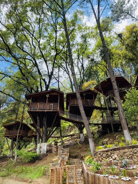 Foto: FB Cabañas Kali-Tree