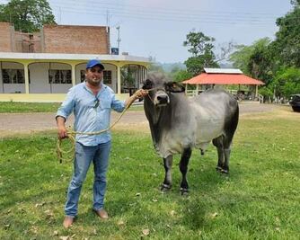 Ellos son los presidentes municipales peor pagados de Puebla