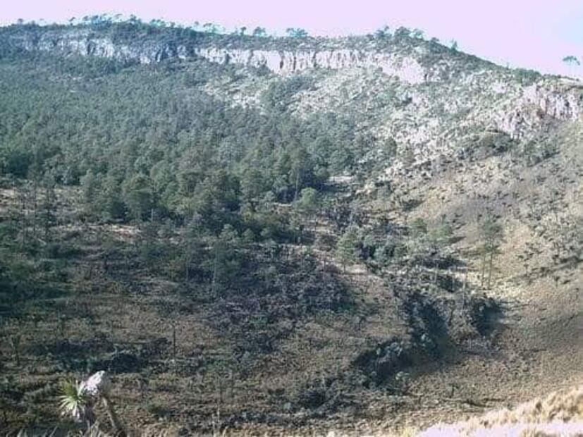 Foto: Nichols d'Orleans