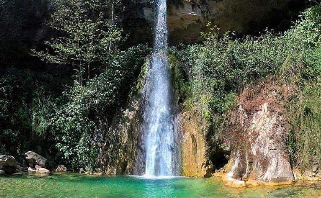 Foto: Archivo El Universal