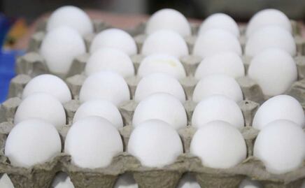 Desarrollo Rural garantiza el abasto de huevo en Puebla