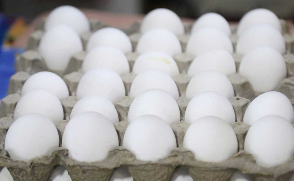 Desarrollo Rural garantiza el abasto de huevo en Puebla